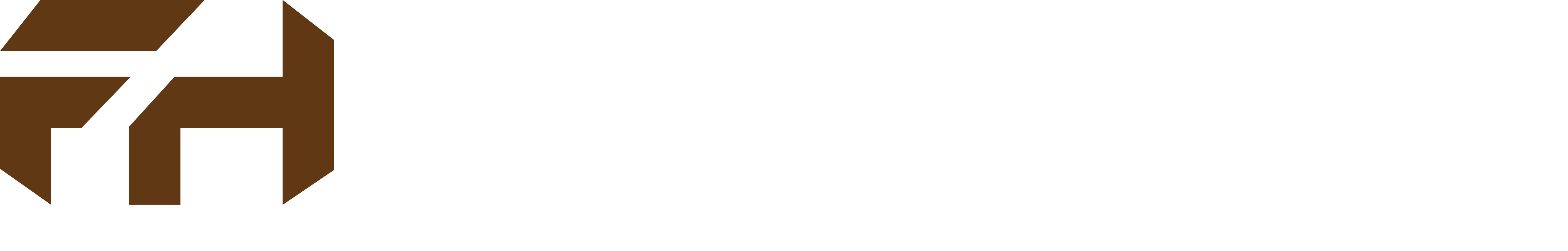 Footer Logo
